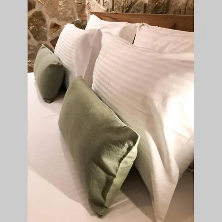Apartment Your Cozy Downtown - Studio